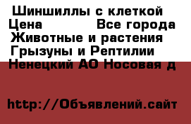 Шиншиллы с клеткой › Цена ­ 8 000 - Все города Животные и растения » Грызуны и Рептилии   . Ненецкий АО,Носовая д.